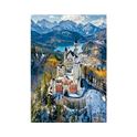 1000 castillo de neuschwanstein desde el aire - 04019261